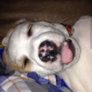 Meet your Posher, Jenna